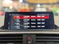 BMW M2 3.0 BiTurbo GPF Competition Coupe 2dr Petrol DCT Euro 6 (s/s) (410 ps) 39
