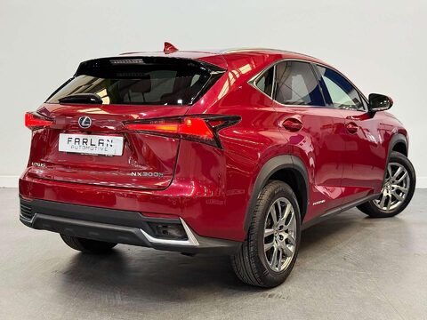 Lexus NX 2.5 300h Premium SUV 5dr Petrol Hybrid E-CVT 4WD Euro 6 (s/s) (197 ps) 22