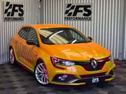 Renault Megane 1.8T R.S.300 Trophy Hatchback 5dr Petrol Manual Euro 6 (s/s) (300 ps) 47