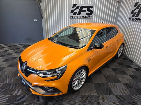 Renault Megane 1.8T R.S.300 Trophy Hatchback 5dr Petrol Manual Euro 6 (s/s) (300 ps) 16