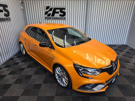 Renault Megane 1.8T R.S.300 Trophy Hatchback 5dr Petrol Manual Euro 6 (s/s) (300 ps) 14