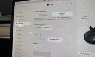 Tesla Model 3 PERFORMANCE, Midnight Silver Metallic, Heat Pump, Track Mode, Adaptive LEDs 14