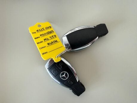 Mercedes-Benz M Class 2.1 ML250 BlueTEC AMG Line G-Tronic 4WD Euro 6 (s/s) 5dr 29