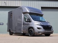 Citroen Relay BRAND NEW BUILD 3.5 TON STALLION FOR LARGE HORSES 1000 PAYLOAD  10