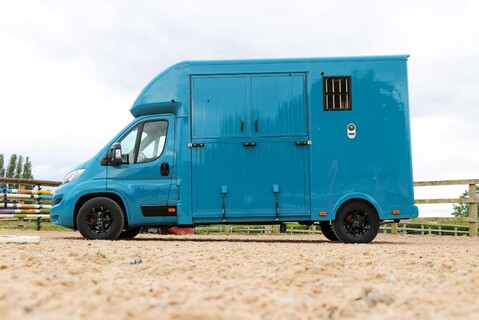 Citroen Relay BRAND NEW BUILD 3.5 TON STALLION FOR LARGE HORSES 1000 PAYLOAD  4