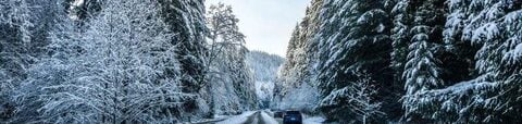 What’s the Best Protection for the Winter Months?