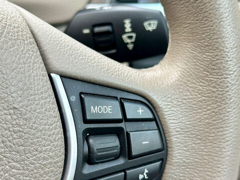 BMW 3 Series 320i LUXURY GT Auto 39