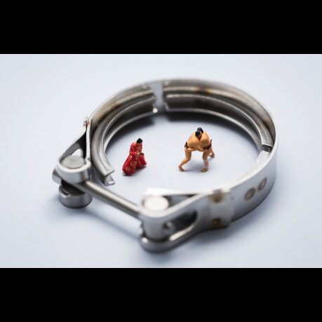 STEP INTO THE SUMO SAVINGS RING – WHILE STOCKS LAST!