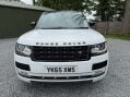 Land Rover Range Rover 3.0 Range Rover Vogue TDV6 Auto 4WD 5dr 13