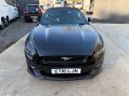 Ford Mustang 5.0 Mustang GT 2dr 62