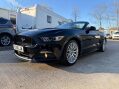 Ford Mustang 5.0 Mustang GT 2dr 19