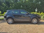 Land Rover Range Rover Evoque 2.2 SD4 Pure 4WD Euro 5 (s/s) 5dr 5