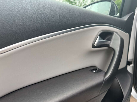 Volkswagen Polo 1.4 Polo BlueGT 5dr 33