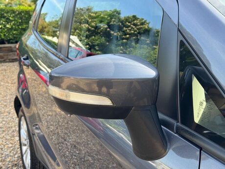 Ford Ecosport 1.0T EcoBoost Zetec 2WD Euro 6 (s/s) 5dr 25