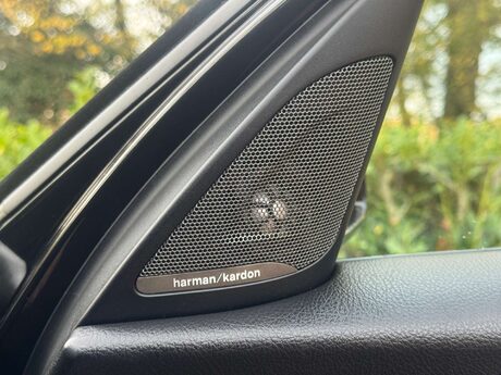 BMW 1 Series 1.5 118i M Sport Shadow Edition Auto 5dr 29