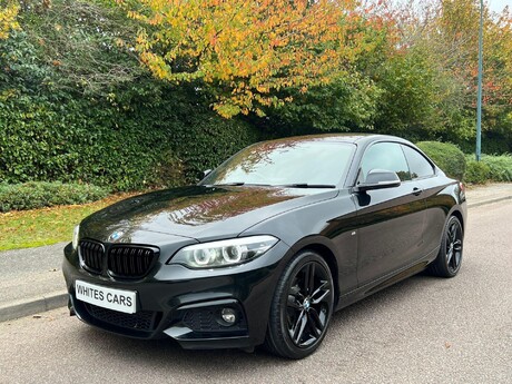 BMW 2 Series 1.5 218i M Sport Euro 6 (s/s) 2dr 5