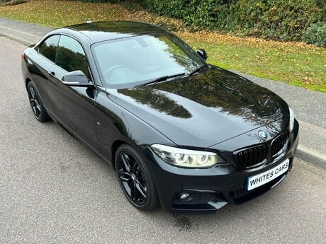 BMW 2 Series 1.5 218i M Sport Euro 6 (s/s) 2dr 39