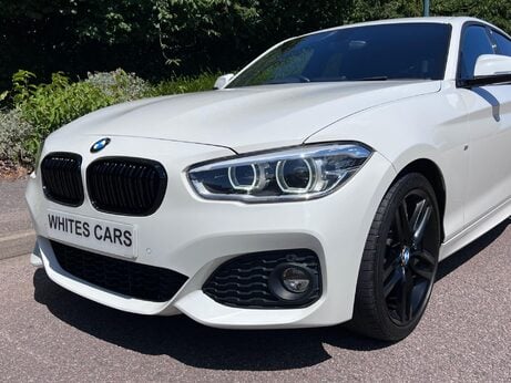 BMW 1 Series 2.0 118d M Sport Euro 6 (s/s) 5dr 33