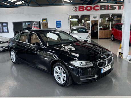 BMW 5 Series 2.0 520d SE Euro 6 (s/s) 4dr 8