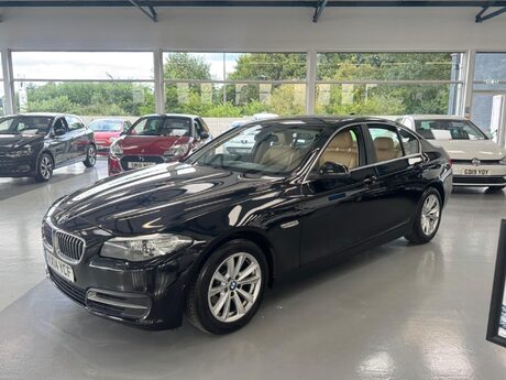 BMW 5 Series 2.0 520d SE Euro 6 (s/s) 4dr 11