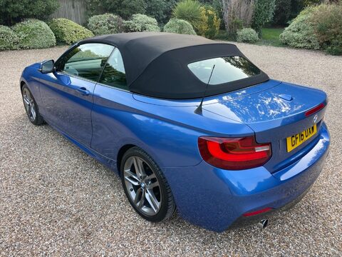 BMW 2 Series 1.5 218i M Sport Convertible 2dr Petrol Auto Euro 6 (s/s) (136 ps) 27