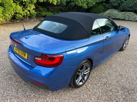 BMW 2 Series 1.5 218i M Sport Convertible 2dr Petrol Auto Euro 6 (s/s) (136 ps) 31
