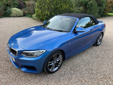 BMW 2 Series 1.5 218i M Sport Convertible 2dr Petrol Auto Euro 6 (s/s) (136 ps) 24