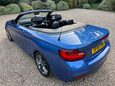 BMW 2 Series 1.5 218i M Sport Convertible 2dr Petrol Auto Euro 6 (s/s) (136 ps) 10