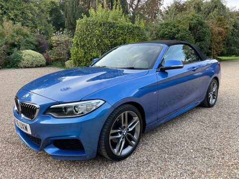 BMW 2 Series 1.5 218i M Sport Convertible 2dr Petrol Auto Euro 6 (s/s) (136 ps) 23