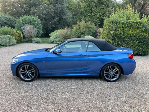 BMW 2 Series 1.5 218i M Sport Convertible 2dr Petrol Auto Euro 6 (s/s) (136 ps) 25