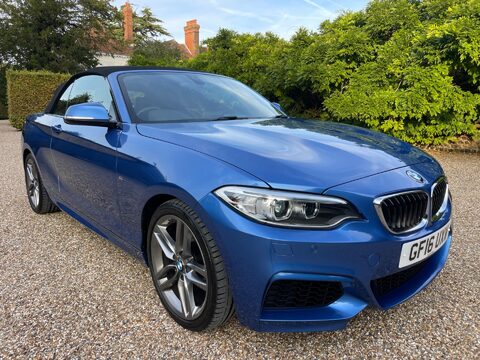 BMW 2 Series 1.5 218i M Sport Convertible 2dr Petrol Auto Euro 6 (s/s) (136 ps) 19
