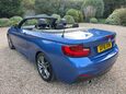 BMW 2 Series 1.5 218i M Sport Convertible 2dr Petrol Auto Euro 6 (s/s) (136 ps) 9