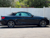 BMW 2 Series 218i 1.5 Sport Convertible 2dr Petrol Manual Euro 6 (s/s) (136 ps) 43