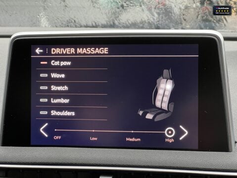 Peugeot 3008 2.0 BlueHDi GT SUV 5dr Diesel EAT Auto 6Spd Euro 6 42