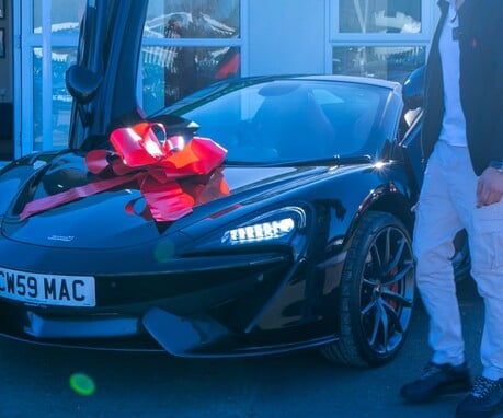 Our Premier Car Collection