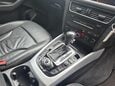 Audi Q5 TDI QUATTRO SE 2