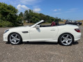 Mercedes-Benz SLK SLK200 BLUEEFFICIENCY AMG SPORT 5