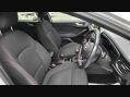 Ford Focus ST-LINE 16