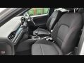 Ford Focus ST-LINE 24
