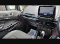 Ford Ecosport TITANIUM 12