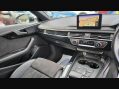 Audi A4 TFSI BLACK EDITION 14