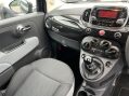 Fiat 500 POP 21
