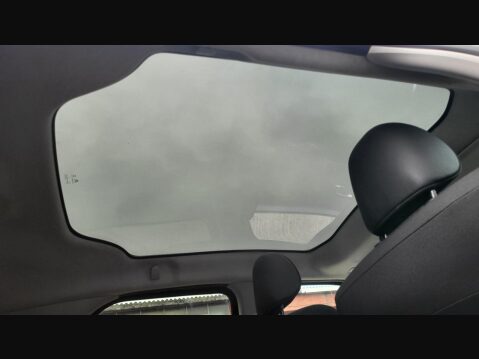 Citroen C4 Cactus PURETECH FLAIR S/S 28