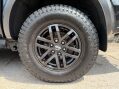 Ford Ranger RAPTOR ECOBLUE 15