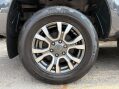 Ford Ranger WILDTRAK ECOBLUE 12