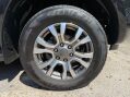 Ford Ranger WILDTRAK 4X4 DCB TDCI 13