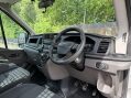 Ford Transit 350 LEADER C/C ECOBLUE 16
