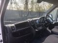 Peugeot Boxer BLUEHDI 335 L3H2 PROFESSIONAL P/V 19