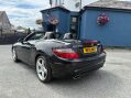 Mercedes-Benz SLK SLK250 CDI BLUEEFFICIENCY AMG SPORT 14
