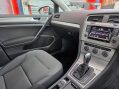 Volkswagen Golf SE TDI BLUEMOTION TECHNOLOGY DSG 13